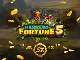 Habesha Fortune 5 screenshot
